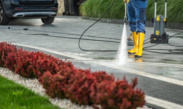 Best Playground Equipment Cleaning  in Pajaro, CA